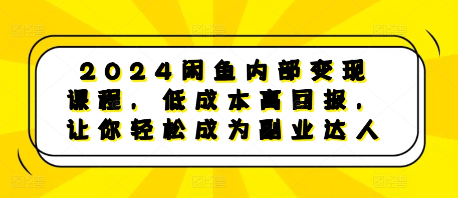 2024闲鱼内部变现课程，低成本高回报，让你轻松成为副业达人-3YVIP资源库