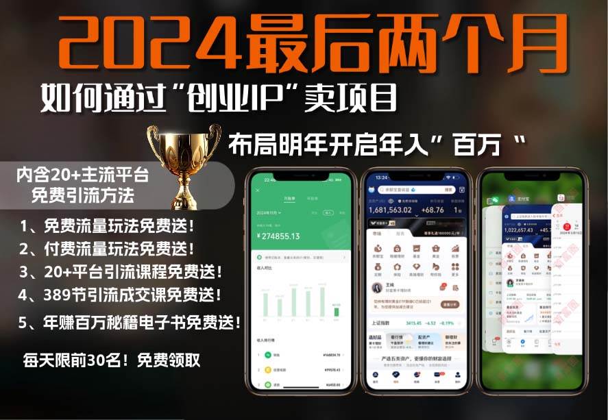 （13322期）2024最后两个月如何通过”创业IP“卖项目年入”百万“,创业IP+最强引流…-3YVIP资源库