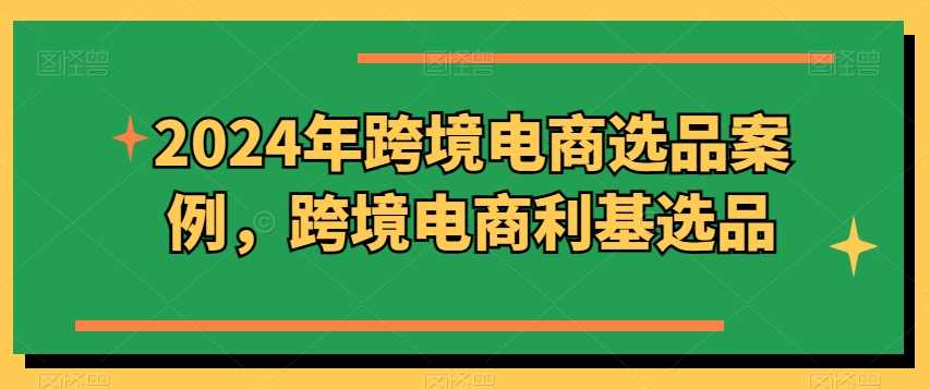 2024年跨境电商选品案例，跨境电商利基选品（更新11月）-3YVIP资源库