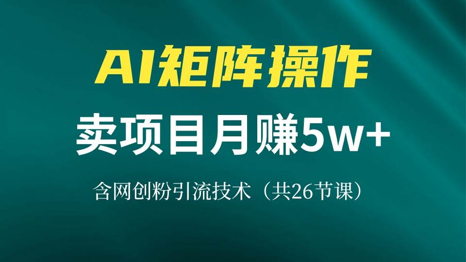 （13335期）网创IP打造课，借助AI卖项目月赚5万+，含引流技术（共26节课）-3YVIP资源库