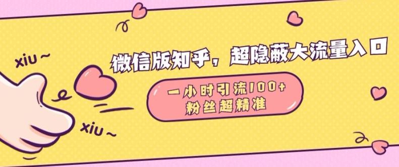 微信版知乎，超隐蔽流量入口1小时引流100人，粉丝质量超高【揭秘】-3YVIP资源库