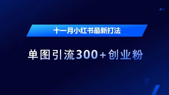 十一月小红书最新打法，单图引流300+创业粉【揭秘】-3YVIP资源库