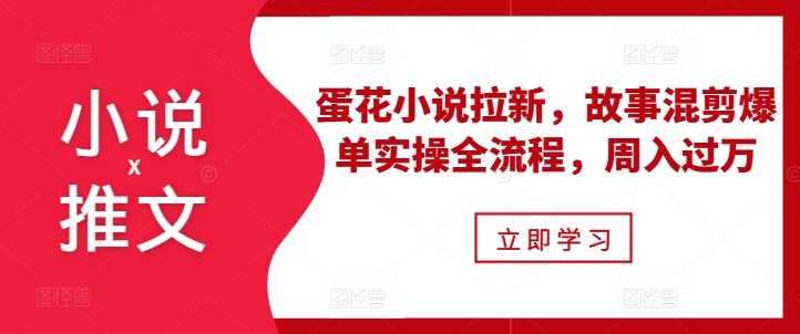 小说推文之蛋花小说拉新，故事混剪爆单实操全流程，周入过万-3YVIP资源库
