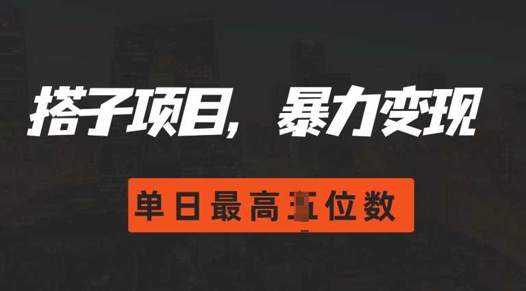 2024搭子玩法，0门槛，暴力变现，单日最高破四位数【揭秘】-3YVIP资源库