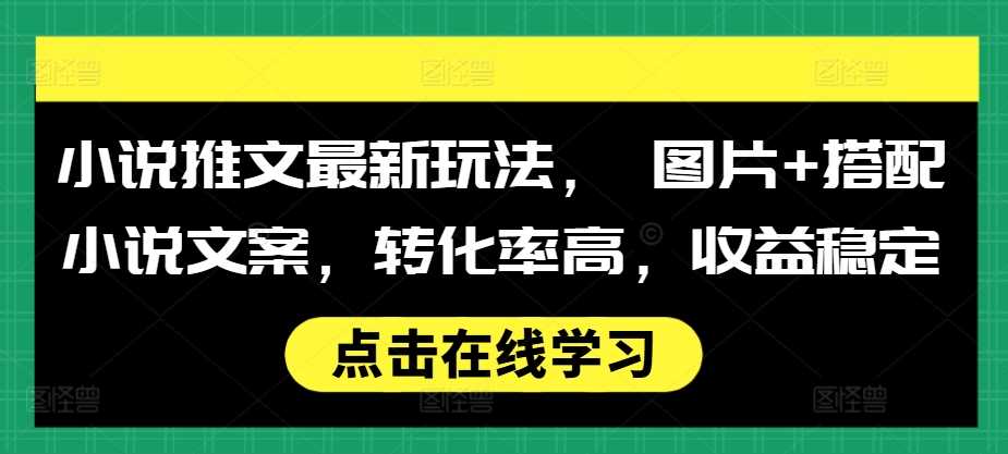 小说推文最新玩法， 图片+搭配小说文案，转化率高，收益稳定-3YVIP资源库