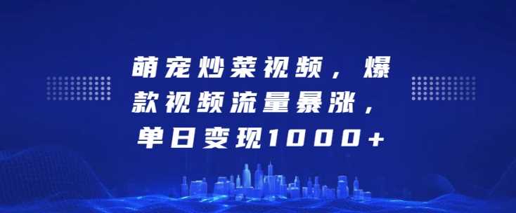 萌宠炒菜视频，爆款视频流量暴涨，单日变现1k-3YVIP资源库