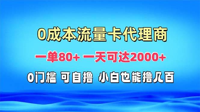 （13391期）免费流量卡代理一单80+ 一天可达2000+-3YVIP资源库
