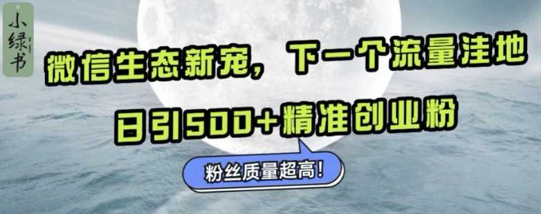 微信生态新宠小绿书：下一个流量洼地，日引500+精准创业粉，粉丝质量超高-3YVIP资源库