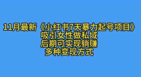 K总部落11月最新小红书7天暴力起号项目，吸引女性做私域【揭秘】-3YVIP资源库