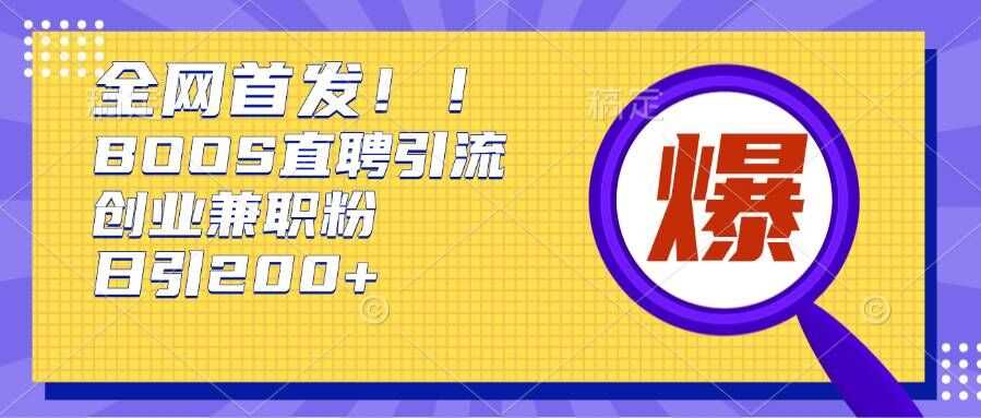 通过Boss直聘，每天轻松钓到200+多条创业大鱼的秘籍【揭秘】-3YVIP资源库