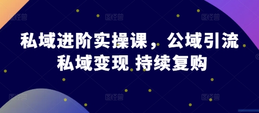 私域进阶实操课，公域引流 私域变现 持续复购-3YVIP资源库