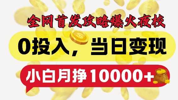 全网首发爆火夜校，0投入，当日变现，小白轻松月入1w+【揭秘】-3YVIP资源库