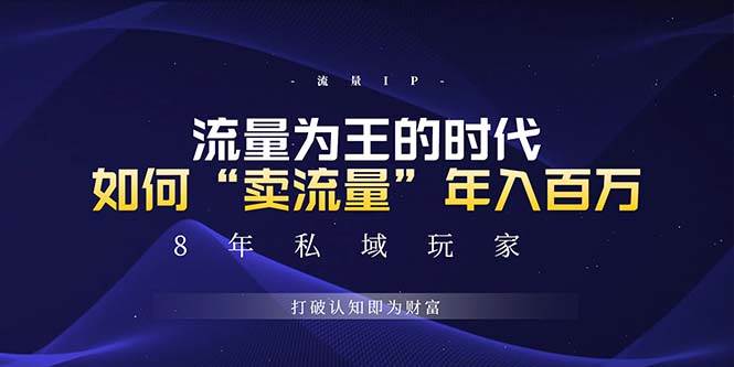 （13433期）未来如何通过“卖流量”年入百万，跨越一切周期绝对蓝海项目-3YVIP资源库