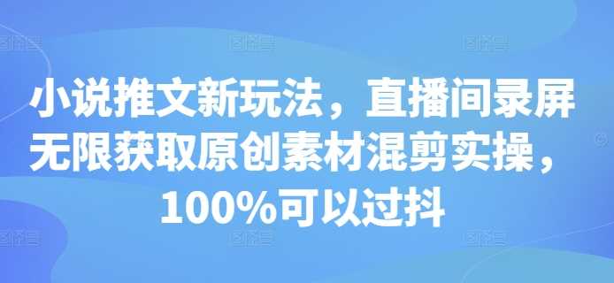 小说推文新玩法，直播间录屏无限获取原创素材混剪实操，100%可以过抖-3YVIP资源库