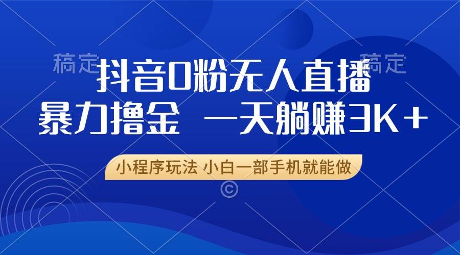 （13449期）抖音0粉无人直播暴力掘金，一天躺赚3K+，小白一部手机就能做-3YVIP资源库