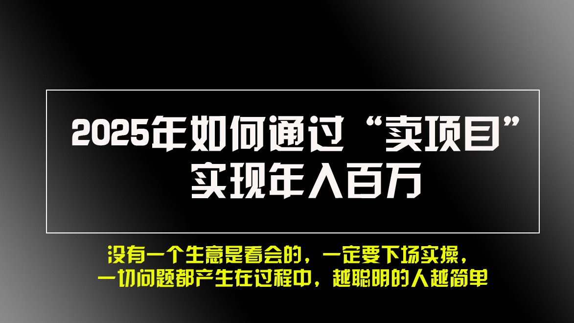 2025年如何通过“卖项目”实现年入百万-3YVIP资源库