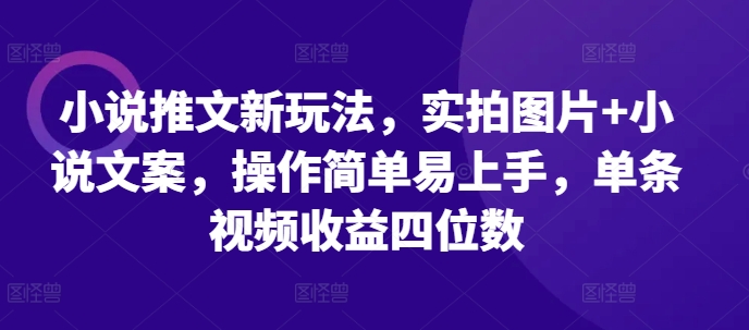 小说推文新玩法，实拍图片+小说文案，操作简单易上手，单条视频收益四位数-3YVIP资源库