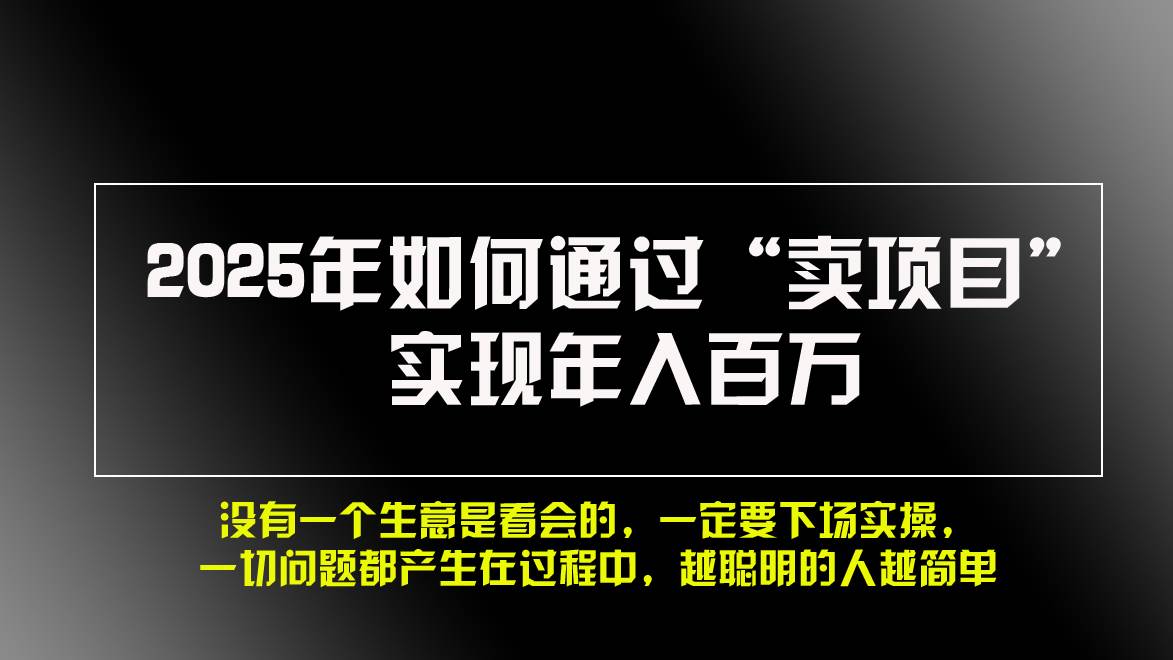 （13468期）2025年如何通过“卖项目”实现年入百万，做网赚必看！！-3YVIP资源库