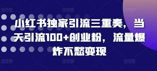 小红书独家引流三重奏，当天引流100+创业粉，流量爆炸不愁变现【揭秘】-3YVIP资源库