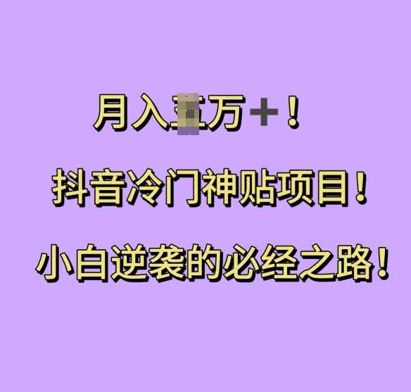 抖音冷门神贴项目，小白逆袭的必经之路，月入过W【揭秘】-3YVIP资源库