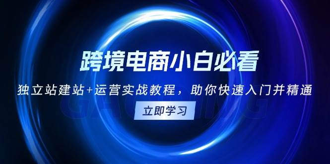 （13503期）跨境电商小白必看！独立站建站+运营实战教程，助你快速入门并精通-3YVIP资源库