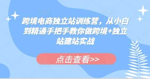 跨境电商独立站训练营，从小白到精通手把手教你做跨境+独立站建站实战-3YVIP资源库