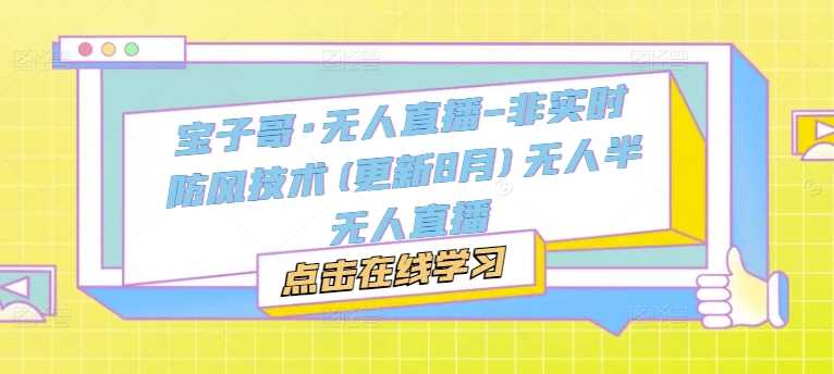 宝子哥·无人直播-非实时防风技术(更新11月)无人半无人直播-3YVIP资源库