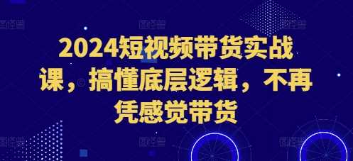 2024短视频带货实战课，搞懂底层逻辑，不再凭感觉带货-3YVIP资源库
