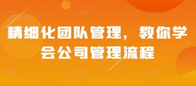 精细化团队管理，教你学会公司管理流程-3YVIP资源库