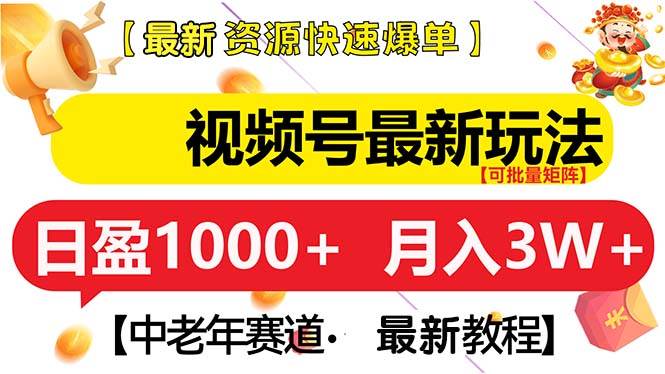 （13530期）视频号最新玩法 中老年赛道 月入3W+-3YVIP资源库