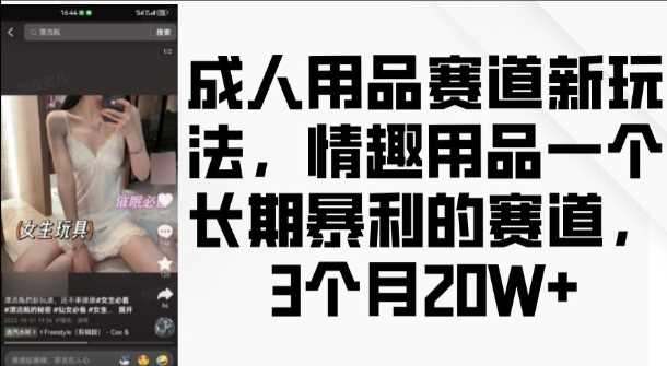 成人用品赛道新玩法，情趣用品一个长期暴利的赛道，3个月收益20个【揭秘】-3YVIP资源库