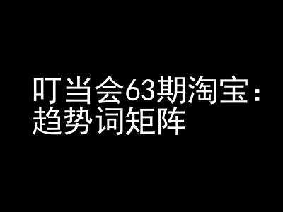 《淘宝天猫打爆班》原创高阶技术第63期，趋势词矩阵技术和玩法-3YVIP资源库