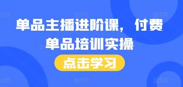 单品主播进阶课，付费单品培训实操，46节完整+话术本-3YVIP资源库