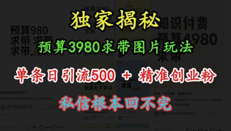 预算3980求带 图片玩法，单条日引流500+精准创业粉，私信根本回不完-3YVIP资源库