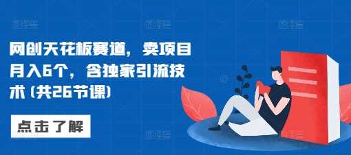 网创天花板赛道，卖项目月入6个，含独家引流技术(共26节课)-3YVIP资源库