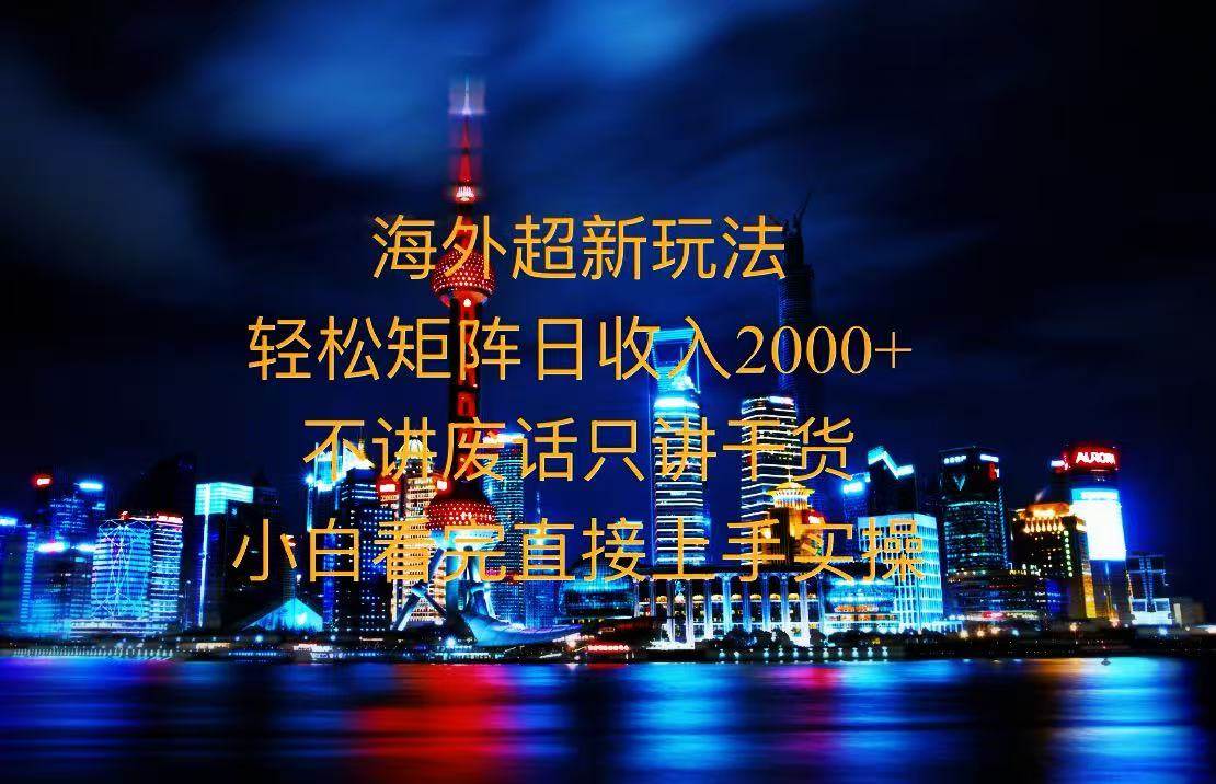 （13583期）2025全新海外暴力玩法，操作简单，小白轻松上手-3YVIP资源库