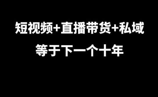 短视频+直播带货+私域等于下一个十年，大佬7年实战经验总结-3YVIP资源库