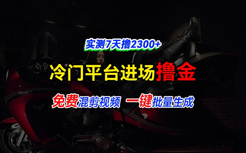全新冷门平台vivo视频，快速免费进场搞米，通过混剪视频一键批量生成，实测7天撸2300+-3YVIP资源库