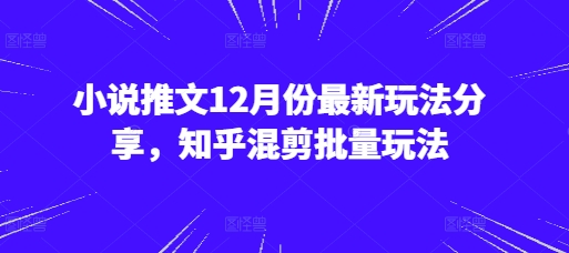 小说推文12月份最新玩法分享，知乎混剪批量玩法-3YVIP资源库