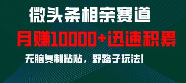 微头条相亲赛道，迅速积累，无脑复制粘贴，野路子玩法，月入1w-3YVIP资源库
