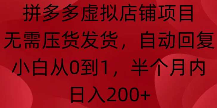 拼多多虚拟店铺项目，无需压货发货，自动回复，小白从0到1，半个月内日入200+【揭秘】-3YVIP资源库