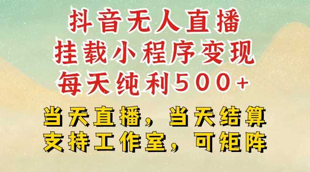 抖音无人直播挂载小程序变现每天纯利500+当天直播，当天结算支持工作室，可矩阵【揭秘】-3YVIP资源库