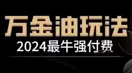 2024最牛强付费，万金油强付费玩法，干货满满，全程实操起飞（更新12月）-3YVIP资源库