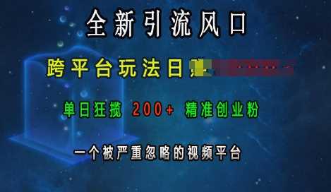 全新引流风口，跨平台玩法日入上k，单日狂揽200+精准创业粉，一个被严重忽略的视频平台-3YVIP资源库