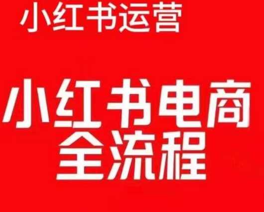 红薯电商实操课，小红书电商全流程-3YVIP资源库