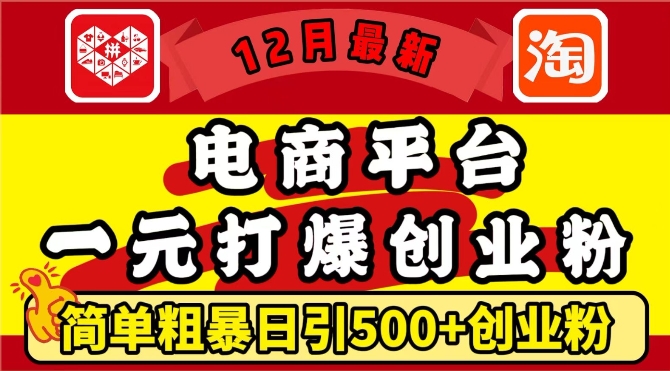 12月最新：电商平台1元打爆创业粉，简单粗暴日引500+精准创业粉，轻松月入过W【揭秘】-3YVIP资源库