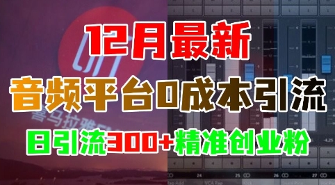 12月最新：音频平台0成本引流，日引流300+精准创业粉-3YVIP资源库