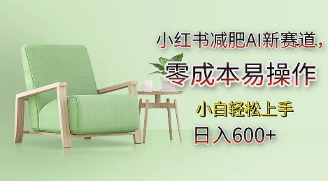 小红书减肥AI新赛道，零成本易操作，日入多张，小白轻松上手【揭秘】-3YVIP资源库