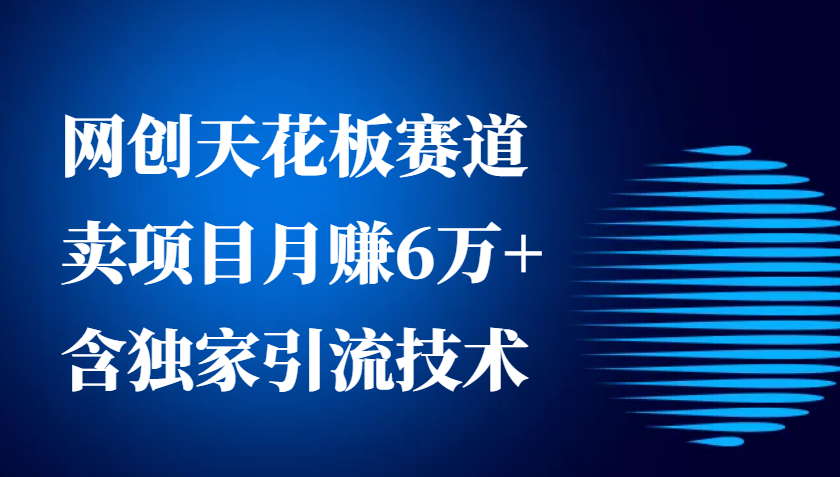 网创天花板赛道，卖项目月赚6万+，含独家引流技术（共26节课）-3YVIP资源库