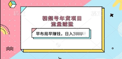 视频号年货项目，流量贼猛，早布局早挣钱，日入上k【揭秘】-3YVIP资源库
